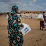 Sudan’s El Fasher, Kadugli face second famine in less than a year
