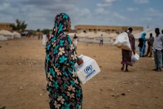 Sudan’s El Fasher, Kadugli face second famine in less than a year