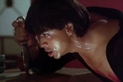 Before Tere Ishk Mein [2025]: Actors who played obsessive lovers in Bollywood films