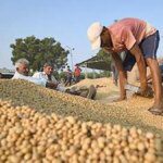 Global agri markets enter 2026 with low prices but high political risk, says Raboresearch