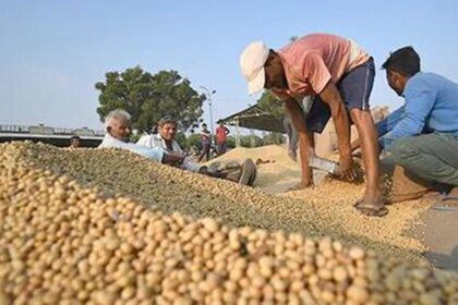 Global agri markets enter 2026 with low prices but high political risk, says Raboresearch