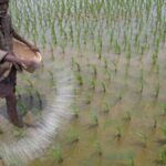 Govt crackdowns on black marketing, hoarding of fertilizers to improve supply