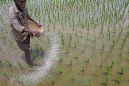 Govt crackdowns on black marketing, hoarding of fertilizers to improve supply