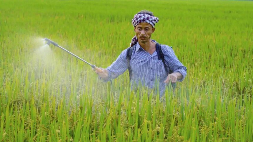 India may face challenges in meeting Nov-Dec fertiliser demand on higher rabi sowing