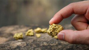 India targets price-making role in gold market with domestic mining push