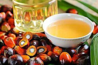 India's palm oil imports hit 5-year low as soyoil purchases surge to record