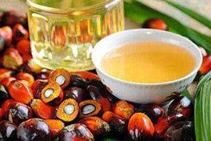 India's palm oil imports hit 5-year low as soyoil purchases surge to record