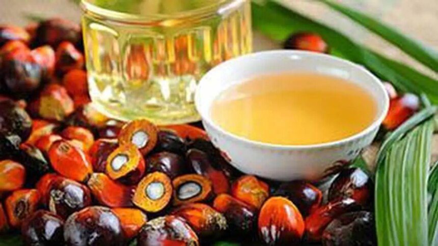 India's palm oil imports hit 5-year low as soyoil purchases surge to record