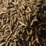 India’s cumin exports poised to fall on weak China demand