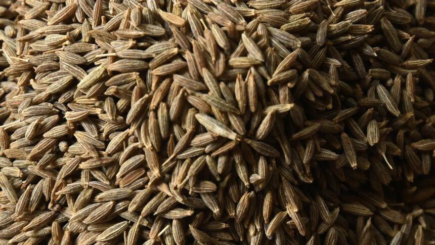 India’s cumin exports poised to fall on weak China demand