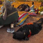 At least 13 journalists missing, three raped after RSF captures Sudan’s El-Fasher: CPJ