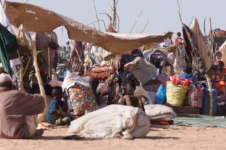 Tens of thousands flee on foot amid mass atrocities in Sudan’s El Fasher