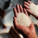 Mauritius wants long-term rice supply agreement with India for its food security