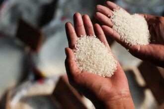 Mauritius wants long-term rice supply agreement with India for its food security