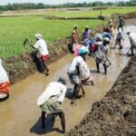 Nearly 27 lakh MGNREGA workers deleted in one month; Congress slams move as “denial of rural poor’s right to work”