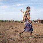 Non-native tree devastates Ethiopia’s ecosystems and threatens livelihoods