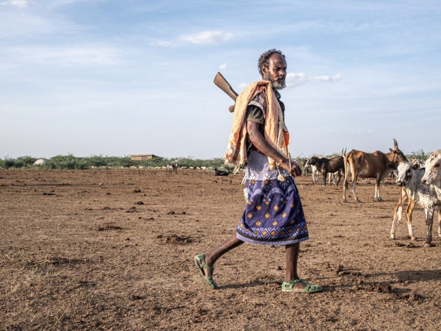 Non-native tree devastates Ethiopia’s ecosystems and threatens livelihoods
