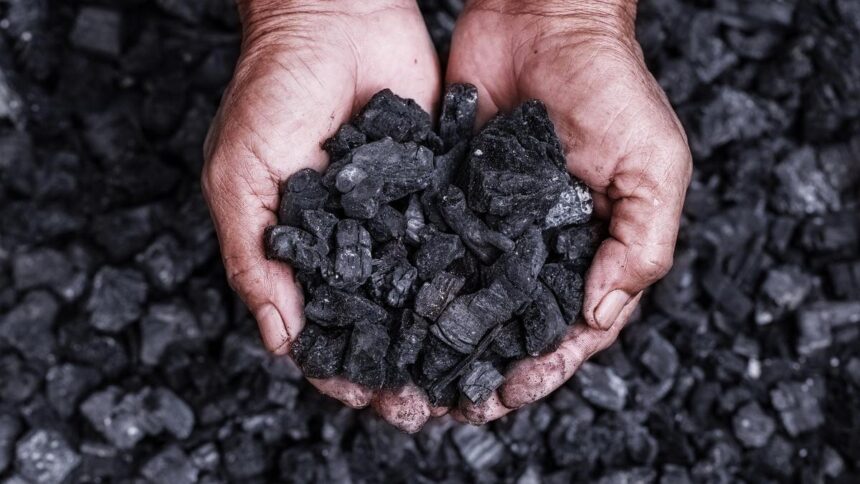 Thermal coal imports hit four-month high in October