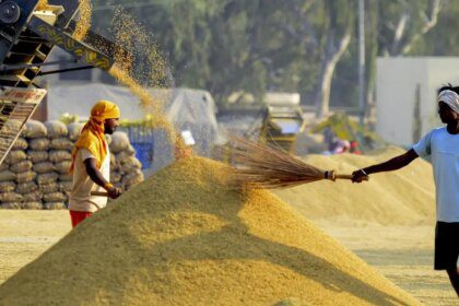 Punjab raises objection to wheat varieties that consume 50% more fertilizers