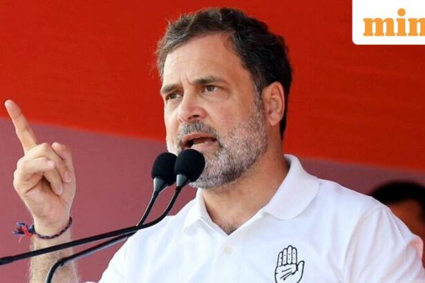 Lok Sabha Leader of Opposition Rahul Gandhi. (AICC/ANI Photo)