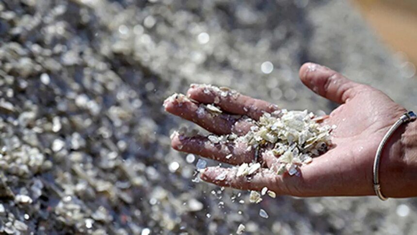 Lithium prices poised to gain on Chinese curbs, robust demand for EVs