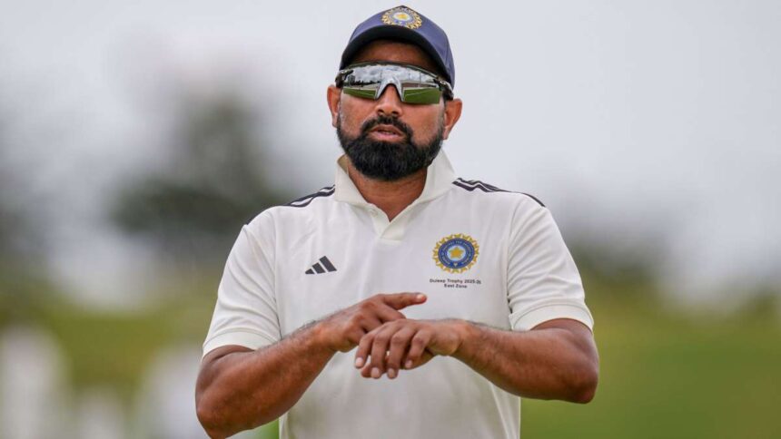 'Isn’t Rs 4 lakh enough?’: SC questions Shami’s ex-wife Hasin Jahan in alimony case