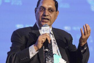 SEBI will not intervene on valuation concerns: Pandey