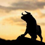 Sensex jumps 595 points as trade deal optimism, Bihar exit polls lift market sentiment