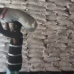 How Trump-era funding cuts endanger efforts to empower Haiti’s farmers