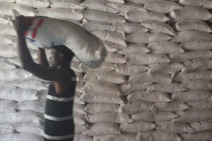 How Trump-era funding cuts endanger efforts to empower Haiti’s farmers