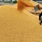 US-Bangladesh billion dollar deal to impact Indian soyameal exports