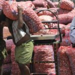 Wide gap in farm-gate prices among producing States, experts call for reforms