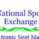 After 12 long years, NSEL investors’ hopes of getting back their money brightens