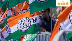 A file photo of Trinamool Congress party flags.