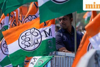 A file photo of Trinamool Congress party flags.