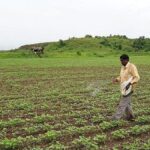 Govt plans to accord ‘permanent approval’ to nano-fertilizers