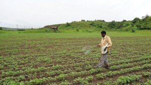 Govt plans to accord ‘permanent approval’ to nano-fertilizers