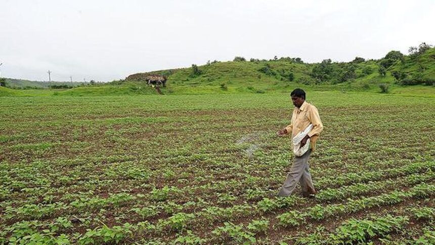 Govt plans to accord ‘permanent approval’ to nano-fertilizers