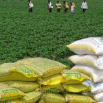 House panel asks govt to revive Durgapur, Haldia, Korba urea plants to meet demand