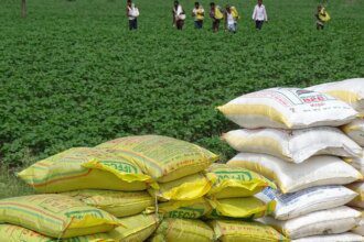 House panel asks govt to revive Durgapur, Haldia, Korba urea plants to meet demand