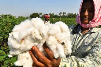 Cotton panel pegs production, imports and exports of the natural fibre lower this season