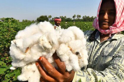 Cotton panel pegs production, imports and exports of the natural fibre lower this season