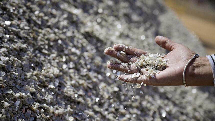 Morocco’s OCP sees phosphate exports to India to rise nearly 40% during CY2025