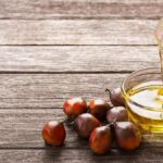 Palm oil meet calls for science-guided public understanding of the edible oil in India