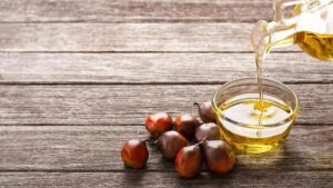 Palm oil meet calls for science-guided public understanding of the edible oil in India