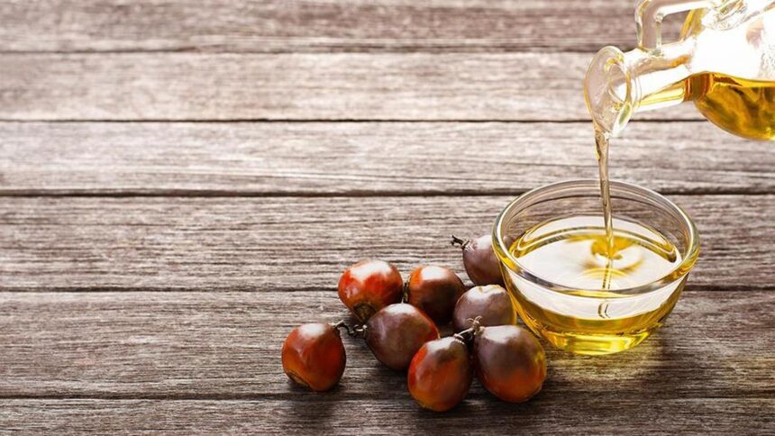 Palm oil meet calls for science-guided public understanding of the edible oil in India
