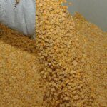 Imports, weak demand weigh on tur prices as new crop hits market