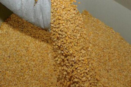 Imports, weak demand weigh on tur prices as new crop hits market