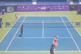 Caught on Camera: Terrifying bee swarm forces players to run for their lives at W100k Bengaluru