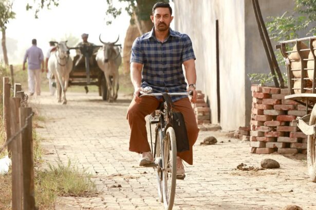 Aamir Khan film that still rules the box office: Dhurandhar, Pushpa 2 and Jawan couldn't beat it